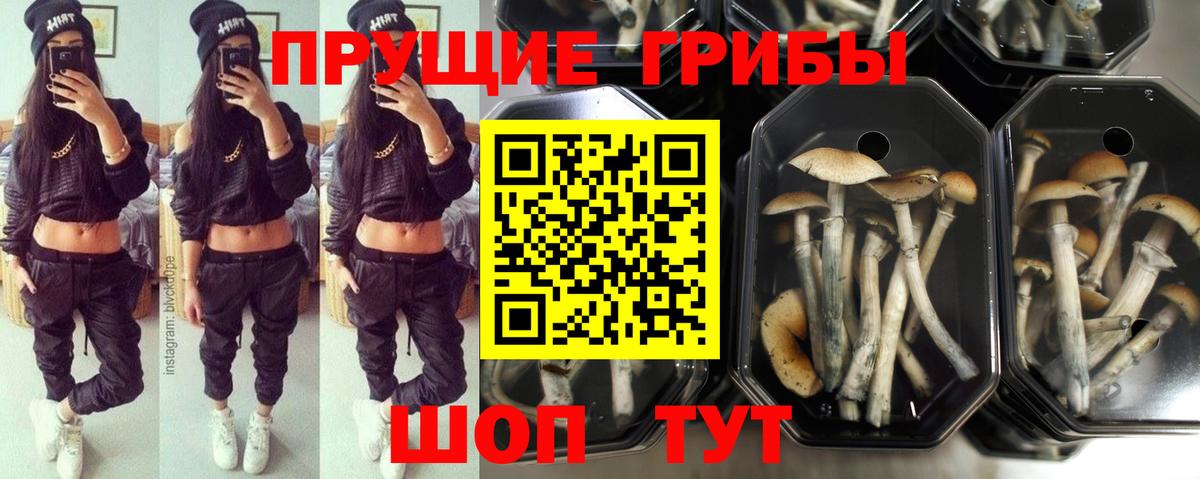 Псилоцибиновые грибы Psilocybine cubensis  Вход с VPN  Галлюциногенные грибы Cubensis  цена наркотик  Сергиев Посад 