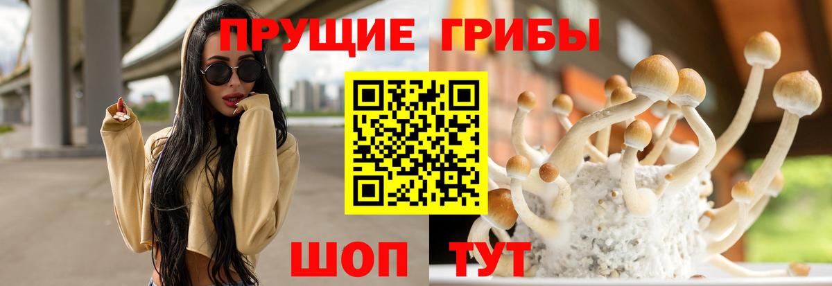 Галлюциногенные грибы прущие грибы Сергиев Посад